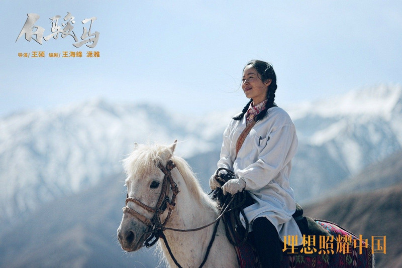 江一燕《理想照耀中国》之《白骏马》 边疆的白衣天使平凡且伟大