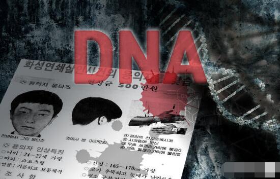 《杀人回忆》华城案5起案件与李春宰DNA比对一致