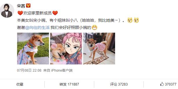 心疼!《向往的生活》三只狗都被领养只剩瓢哥